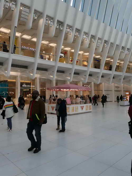 NYC_2020-01-29 13-33-57_P1080592